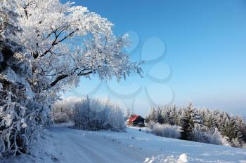 Winter morning in the mountains. Snow-covered road and a small country house in the distance