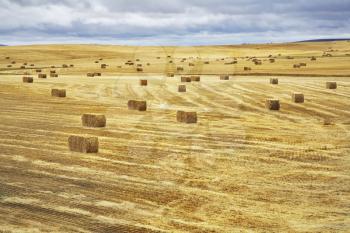 Huge field and stacks in state of Montana after a harvest. More magnificent pictures from the American and Canadian National parks you can look hundreds in my portfolio. Welcome!