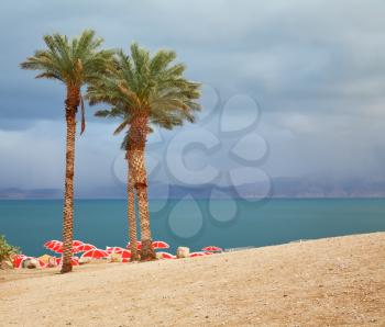 Winter on the Dead Sea. Red umbrellas and purple thunderheads
