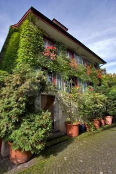
House, twined all over with flowers in Lucerne, Switzerland
