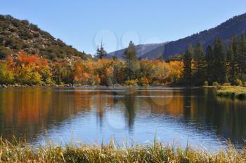 Pretty blue lake and the colorful yellow, orange and red autumn leaves on the shore