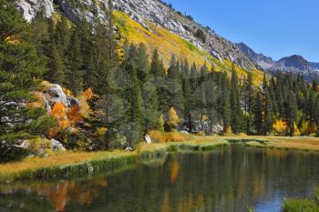 Fantastic autumn mountain landscape. The green trees and yellow grass are reflected in the blue water of the lake