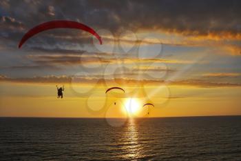 Operated parachutes above the sea on a sunset