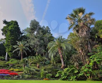 Wonderful vibrant flowerbeds in dense exotic tropical park. Lake Como, Villa Carlotta
