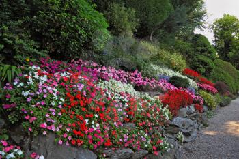 Wonderful vibrant flowerbeds and comfortable path in an exotic park. Lake Como, Villa Carlotta
