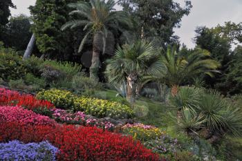 Wonderful vibrant flowerbeds in dense exotic tropical park. Lake Como, Villa Carlotta
