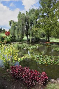 Phenomenally beautiful park-garden Sigurta. Shallow pond, trees and flowers