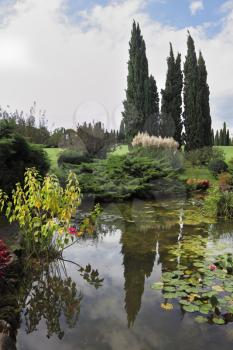 Enchantingly beautiful park-garden Sigurta. Shallow pond, cypress and lily
