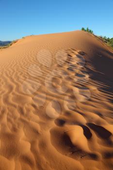 Early morning on the orange sand dunes. Gentle sand waves shimmer in the sun