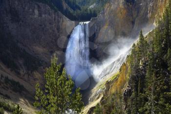 Magnificent falls in a canyon of Yellowstone national park. More magnificent pictures from the American and Canadian National parks you can look hundreds in my portfolio. Welcome!
