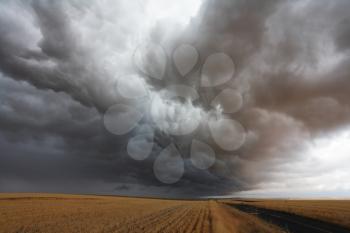 A huge storm cloud over the field after harvest in Montana
