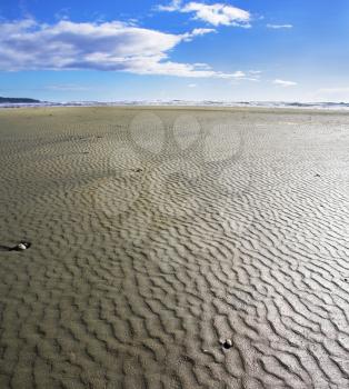 Sandy shallow on a beach of island Vancouver during ocean outflow