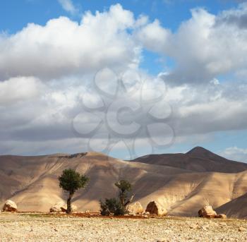 Magnificent transparent day in Judean desert. Easy shades from clouds on soft hills