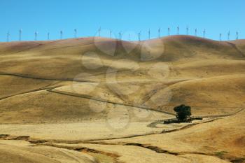 Windmills on a mountain crest. California
