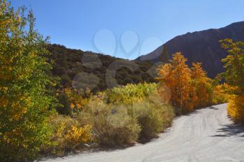 Autumnal colors of dirt road in the mountains of California
