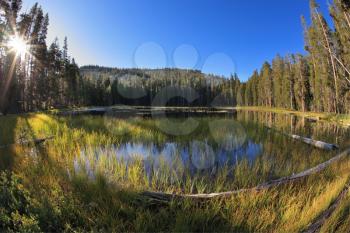 Early clear autumn morning. Snags, stubs and dry trees on coast of lake in mountains Yosemite national park