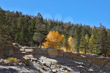 Gorgeous fall. Multi-colored autumn woods, mountains and river
