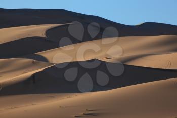 Orange Dawn on a magnificent sandy dune   Eureka