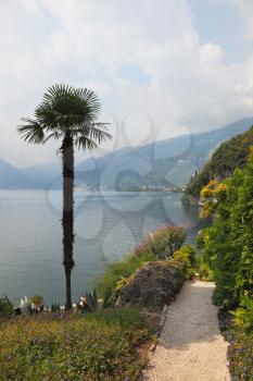 Lake Como in the misty haze. Magnificent tree in park on the shore - Villa Balbianella