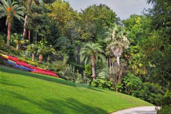 The flowerbeds, green grassy lawn and comfortable path in an exotic park. Lake Como, Villa Carlotta


