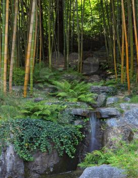 Traditional Japanese park on the bank of the Italian lake. The cascade of falls in a bamboo grove