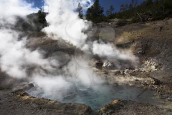 
Boiling geothermal geyser  in Yellowstone Park
