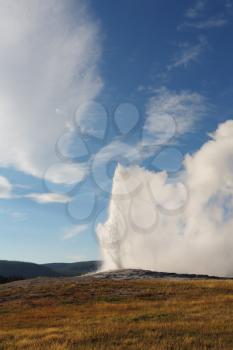 Yellowstone National Park. The world-famous Old Faithful geyser