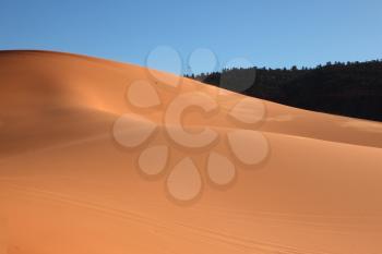  Gentle hollow on an orange yellow sandy dune
