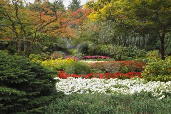 Charming multi-colour flower bed in well-known Butchard-garden in Canada