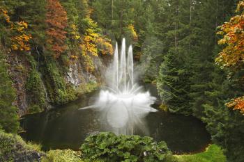 Magnificent dance fountain in well-known Butchard-garden on island Vancouver