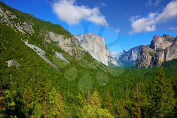 Magnificent panorama of mountains and woods of national park Yosemite, California