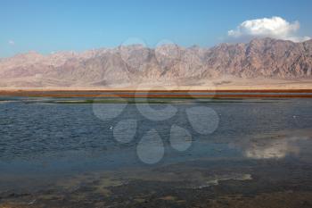 Superficial reservoir in desert between Israel and Jordan