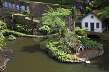 Exotic Park in Madeira. The lake and the picturesque little islet