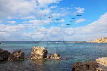 A flock of migratory birds from the Mediterranean coast. Picturesque rocks illuminated by the sun