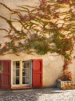 A window with red jalousie and branches of an ivy on a wall of the house in settlement Verdon