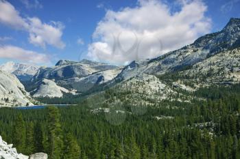 Valley in well-known mountain park Yosemite. Pines and mountains