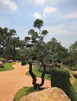 A masterpiece of landscape design - a huge and beautiful park in Thailand. Fancifully trimmed trees, flowers and boulders