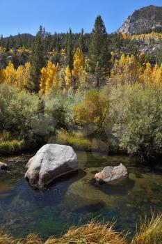 Huge boulders in a shallow mountain creek. Autumn day in the mountains