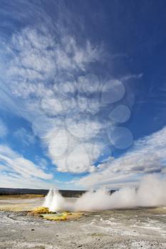The most well-known geysers in the world in Yellowstone Park