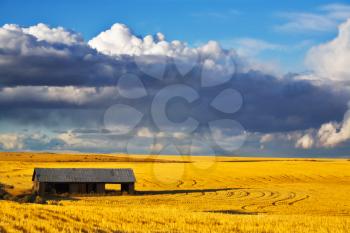 
Empty wooden shed in field after harvesting
