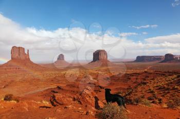 A large black dog in the red desert. The famous Mittens in Monument Valley after the rain