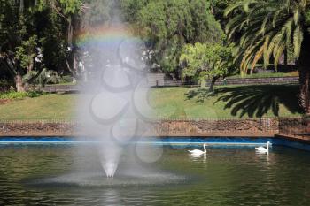 A wonderful sunny day in the park. The picturesque lake and fountain, rainbow and white swans