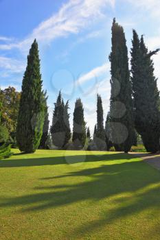 The most romantic landscape park garden in Italy. Captivating green grass lawn surrounded by groves. The shadows of the cypresses slender gently fall on the green meadows