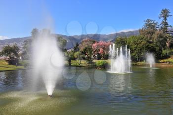 Magnificent park at the resort. The lake with a fountain and the white swans around. At the water fountain jets shining magnificent rainbow