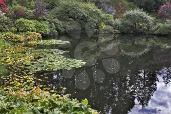  A silent pond in delightful and beautiful to a garden in Canada