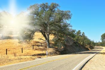 The bright sun illuminates the rural road in California. Autumn Day
