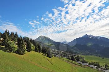 Swiss Alps. Green alpine meadow on a hillside and surrounded by pine forests