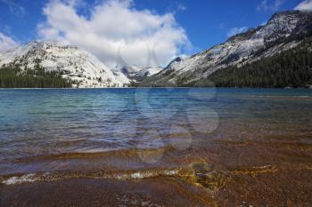 Picturesque beach at the shallow lake in the mountains of Tioga Pass, Yosemite Park