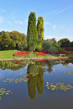 Smooth water of a pond reflects coastal cypresses and picturesque bushes. Magnificent Italian park at sunset