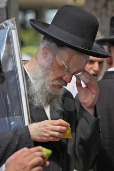 Bnei Brak - September 22: An old orthodox Jew in glasses and black hat picks citrus before the holiday of Sukkot September 22, 2010 in Bnei Brak, Israel